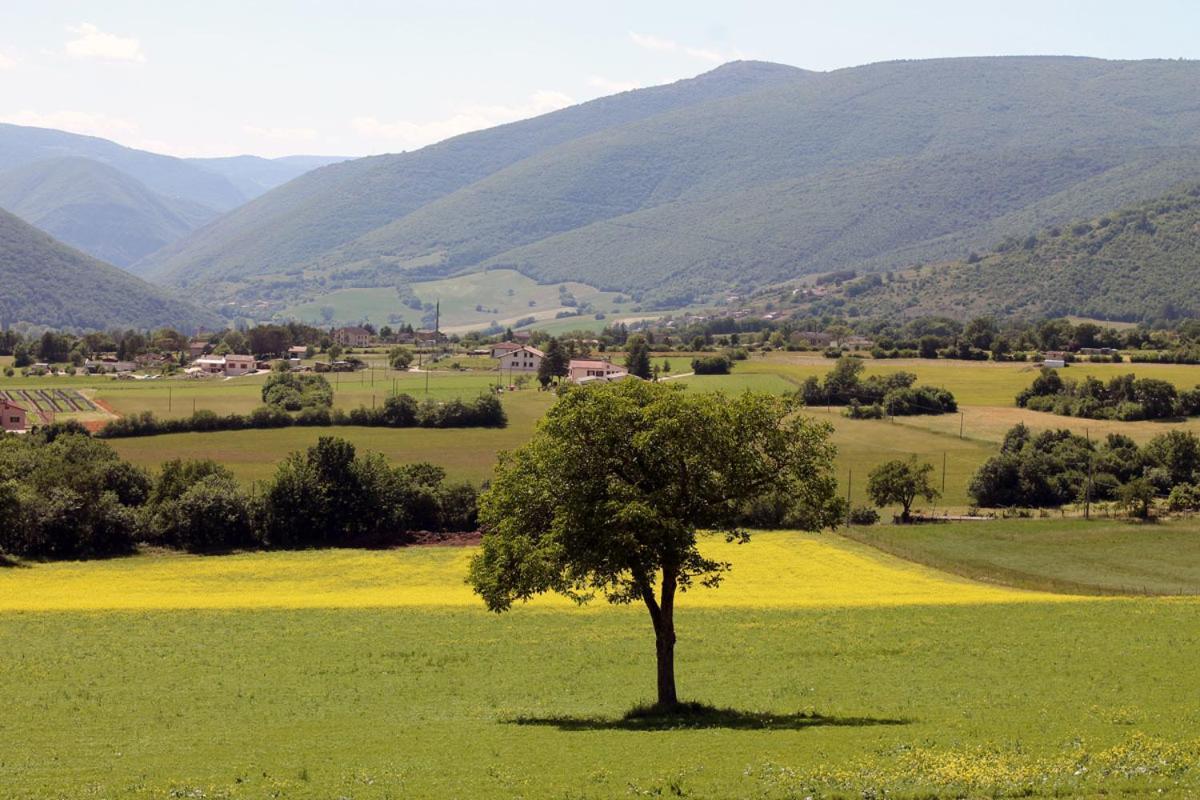 הוילה נורצ'יה Agriturismo Il Casale Degli Amici מראה חיצוני תמונה