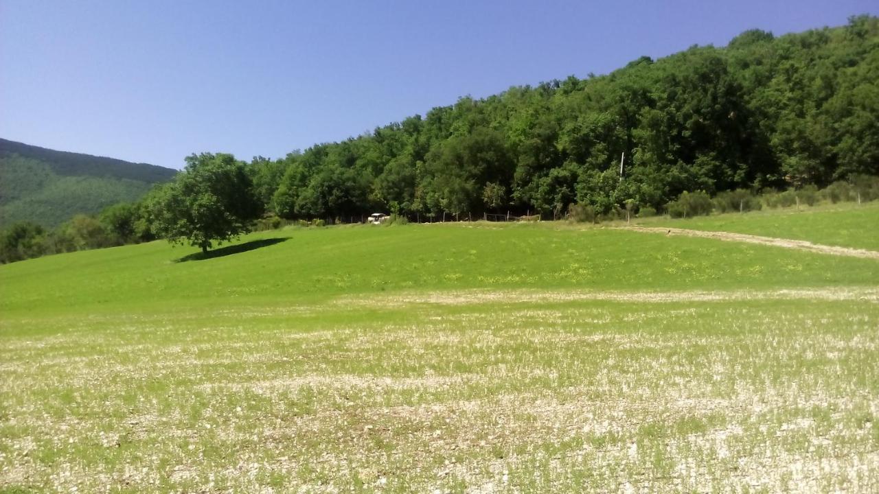 הוילה נורצ'יה Agriturismo Il Casale Degli Amici מראה חיצוני תמונה