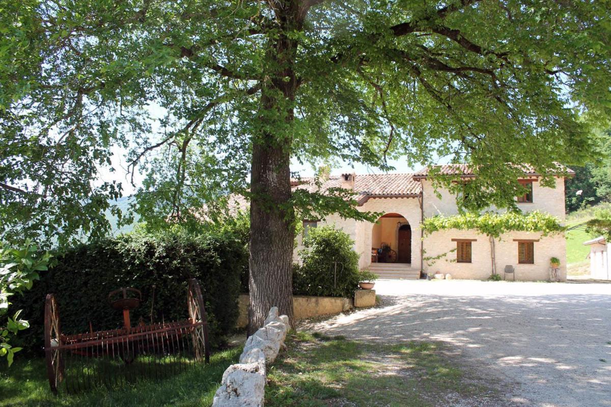 נורצ'יה Agriturismo Il Casale Degli Amici מראה חיצוני תמונה